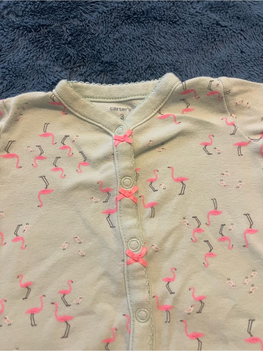 Carter's Light Green Pajama Set with Pink Flamingo Print